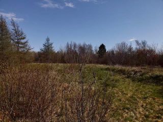 Photo 6: 11984 HIGHWAY 217 in Sea Brook: Digby County Vacant Land for sale (Annapolis Valley)  : MLS®# 202111923