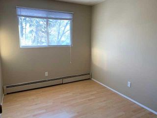 Photo 8: 302 4714A 55 Street: Red Deer Apartment for sale : MLS®# A2130557