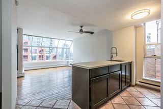 Photo 10: 712 1333 HORNBY Street in Vancouver: Downtown VW Condo for sale in "ANCHOR POINT III" (Vancouver West)  : MLS®# R2125519