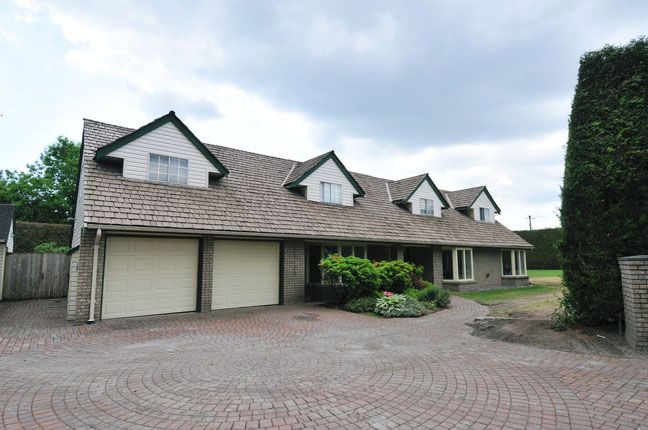 Main Photo: 20120 PATTERSON Avenue in Maple Ridge: Southwest Maple Ridge House for sale : MLS®# V1064594