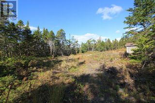 Photo 4: 11 Main Road in Markland: Vacant Land for sale : MLS®# 1252051