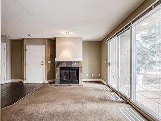 Photo 17: 1 203 Village Terrace SW in Calgary: Patterson Apartment for sale : MLS®# A1050271
