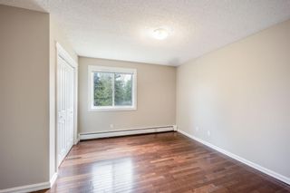 Photo 12: 202 4455C Greenview Drive NE in Calgary: Greenview Apartment for sale : MLS®# A1110677
