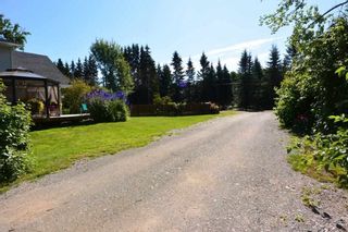 Photo 38: 1562 COTTONWOOD Street: Telkwa House for sale (Smithers And Area (Zone 54))  : MLS®# R2481070