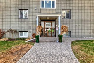 Photo 2: 3 2104 17 Street SW in Calgary: Bankview Apartment for sale : MLS®# A2125904