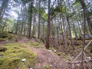 Photo 4: LOT 96 6500 IN-SHUCK-CH FOREST SERVICE Road in Mount Currie: Lillooet Lake Land for sale in "LILLOOET LAKE ESTATES" (Pemberton)  : MLS®# R2701773