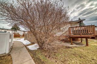 Photo 35: 223 Pinemont Road NE in Calgary: Pineridge Semi Detached (Half Duplex) for sale : MLS®# A2120307