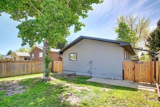 Photo 28: 3423 30A Avenue SE in Calgary: Dover Detached for sale : MLS®# A1114243