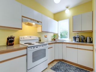 Photo 15: 320 Moss St in Victoria: Vi Fairfield West House for sale : MLS®# 904028