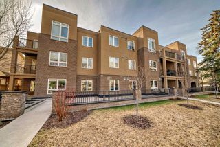 Photo 28: 308 518 33 Street NW in Calgary: Parkdale Apartment for sale : MLS®# A2121555