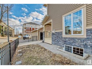 Photo 45: 1204 COLONEL STONE AV NW in Edmonton: House for sale : MLS®# E4336794