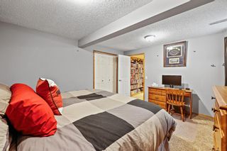 Photo 45: 224 Mt Selkirk Close SE in Calgary: McKenzie Lake Detached for sale : MLS®# A1192685