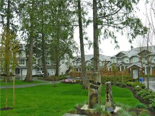 Photo 19: # 49 20460 66TH AV in Langley: Willoughby Heights Condo for sale : MLS®# F1430844