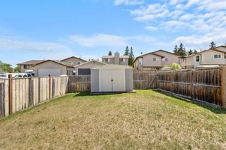 Photo 43: 89/91 Bearberry Close NW in Calgary: Beddington Heights Full Duplex for sale : MLS®# A2055635