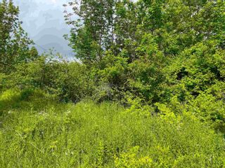 Photo 2: Lot Tupper Street in Milton: 406-Queens County Vacant Land for sale (South Shore)  : MLS®# 202214927
