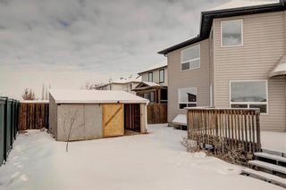 Photo 44: 268 Springmere Way: Chestermere Detached for sale : MLS®# C4287499