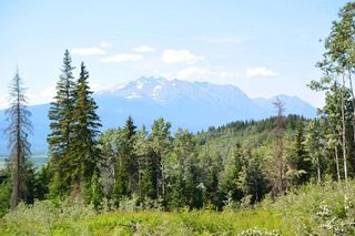Photo 24: LOT 1 HISLOP Road in Smithers: Smithers - Rural Land for sale in "Hislop Road Area" (Smithers And Area (Zone 54))  : MLS®# R2491414
