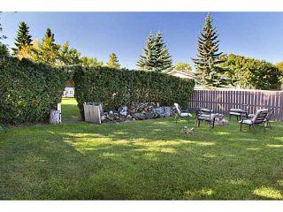 Photo 19: 907 WHITEHILL Way NE in Calgary: Whitehorn Residential Detached Single Family for sale : MLS®# C3634563