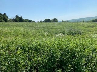 Photo 2: 126 Victoria Street in Springhill: 102S-South of Hwy 104, Parrsboro Vacant Land for sale (Northern Region)  : MLS®# 202116581