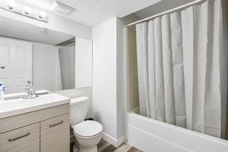 Photo 36: 1027 Everridge Drive SW in Calgary: Evergreen Detached for sale : MLS®# A2128339