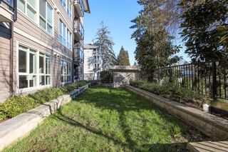 Photo 16: 105 2288 WELCHER Avenue in Port Coquitlam: Central Pt Coquitlam Condo for sale in "AMANTI" : MLS®# R2658298