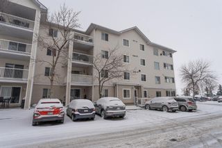 Photo 18: 1317 6224 17 Avenue SE in Calgary: Red Carpet Apartment for sale : MLS®# A2025843
