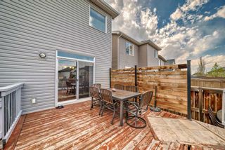 Photo 45: 1589 Copperfield Boulevard SE in Calgary: Copperfield Detached for sale : MLS®# A2131890