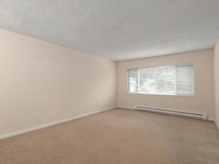 Photo 8: 1259 PLATEAU DRIVE in North Vancouver: Pemberton Heights Condo for sale : MLS®# R2495881