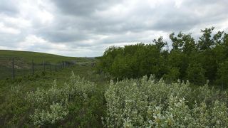 Photo 21: SW 36-20-2W5: Rural Foothills County Residential Land for sale : MLS®# A1231138