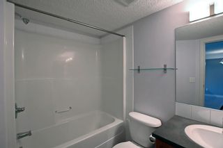 Photo 22: 302 120 Country Village Circle NE in Calgary: Country Hills Village Apartment for sale : MLS®# A1214109
