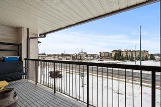 Photo 20: 3305 197 Victor Lewis Drive in Winnipeg: Linden Woods Condominium for sale (1M)  : MLS®# 202330193