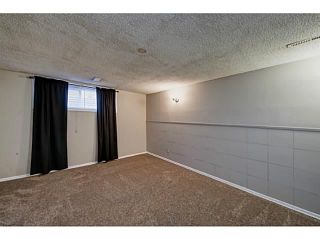 Photo 12: 231 MARTELL Road NE in Calgary: Marlborough Residential Detached Single Family for sale : MLS®# C3647664