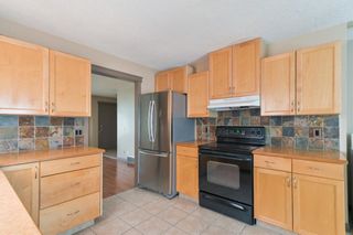 Photo 2: 52 Appletree Road in Calgary: Applewood Park Detached for sale : MLS®# A1216813