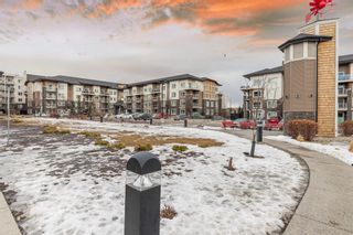 Photo 27: 4310 240 Skyview Ranch Road NE in Calgary: Skyview Ranch Apartment for sale : MLS®# A2024110