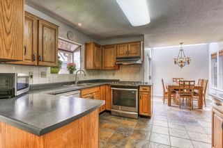 Photo 10: 469 GLENBROOK Drive in New Westminster: Fraserview NW House for sale : MLS®# R2380969