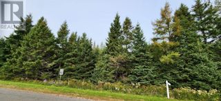 Photo 5: Route 324 Peters Road in Peters Road: Vacant Land for sale : MLS®# 202320831