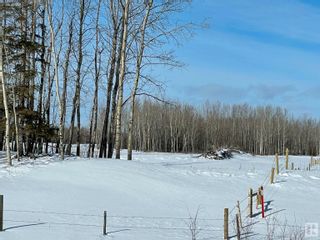 Photo 9: 225000 Hwy 661: Rural Athabasca County Rural Land/Vacant Lot for sale : MLS®# E4281023