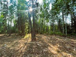 Photo 7: 931 Wolf Trail in Sandy Lake: Vacant Land for sale : MLS®# A2063552