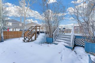 Photo 34: 64 Bridlewood Gardens SW in Calgary: Bridlewood Detached for sale : MLS®# A2098635