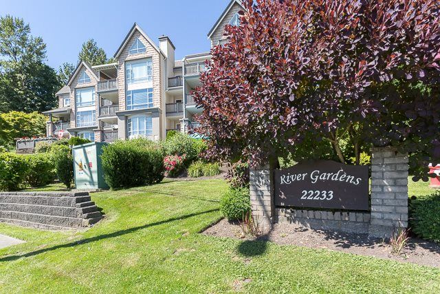 Main Photo: 203 22233 RIVER Road in Maple Ridge: West Central Condo for sale in "RIVER GARDENS" : MLS®# R2186358