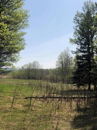 Photo 9: 0 223 Avenue W: Rural Foothills County Residential Land for sale : MLS®# A2037670