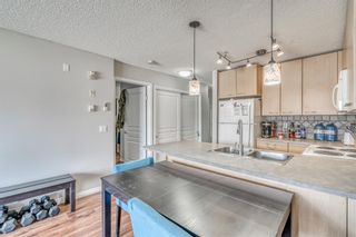 Photo 9: 209 5115 Richard Road SW in Calgary: Lincoln Park Apartment for sale : MLS®# A1219365