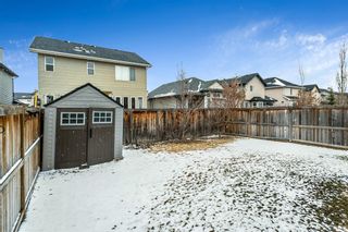 Photo 21: 305 Bridleridge View SW in Calgary: Bridlewood Detached for sale : MLS®# A2043145