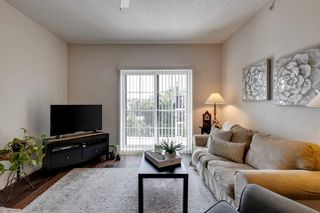 Photo 8: 5411 279 Copperpond Common SE in Calgary: Copperfield Apartment for sale : MLS®# A2063674
