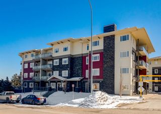 Photo 1: 211 11 Millrise Drive SW in Calgary: Millrise Apartment for sale : MLS®# A2035298