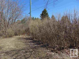 Photo 6: 4822 52 Avenue: Andrew Vacant Lot/Land for sale : MLS®# E4275396
