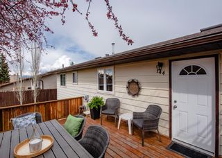 Photo 14: 144 Bermuda Way NW in Calgary: Beddington Heights Detached for sale : MLS®# A1174502