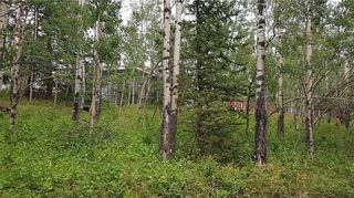 Photo 8: Winchell Lake Road Lot 2, TWP Road 290A: Rural Mountain View County Detached for sale : MLS®# C4200686