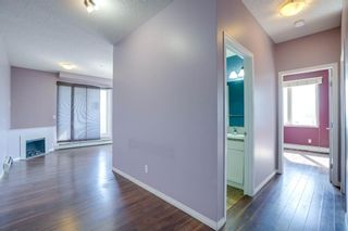Photo 19: 225 1727 54 Street SE in Calgary: Penbrooke Meadows Apartment for sale : MLS®# A1256329