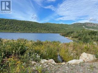Photo 34: 460 Route - White's Road in Gull Pond: Vacant Land for sale : MLS®# 1261834